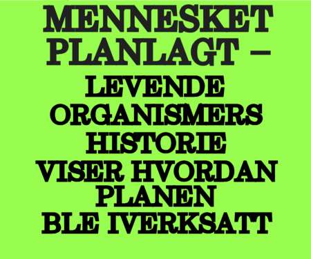 Design - m planlagt